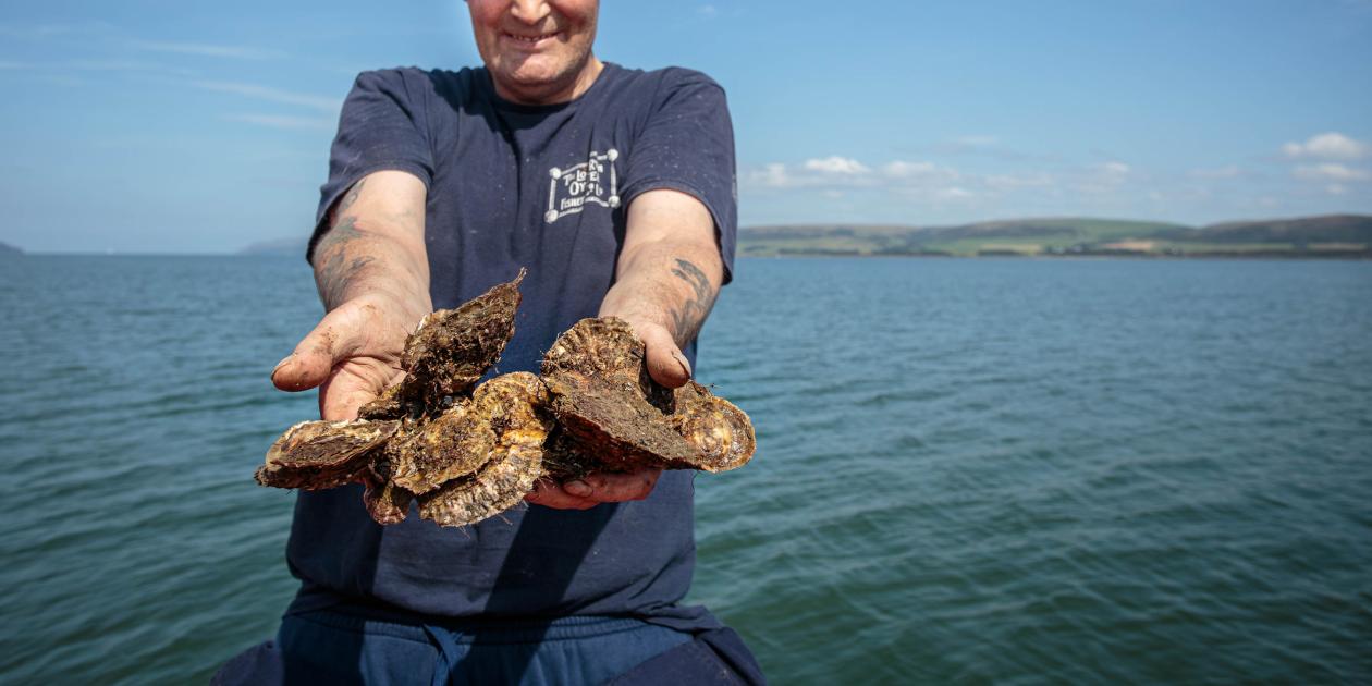 John Mills with native oysters